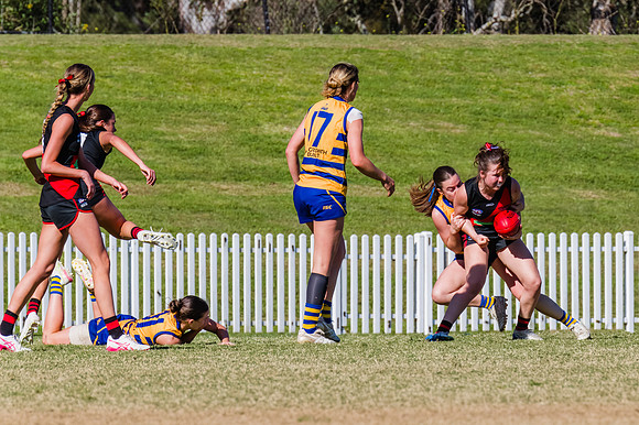 WPD Grand Final - North Shore v Sydney Uni - 20 September 2025
