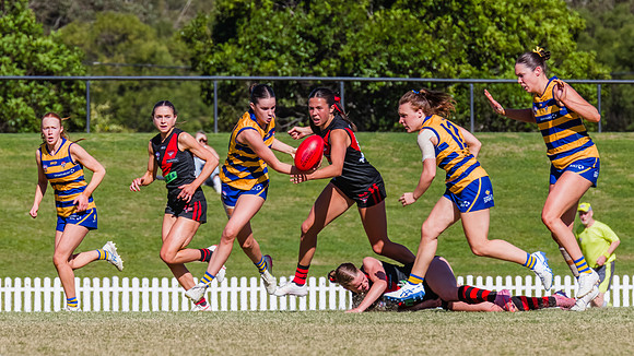 WPD Grand Final - North Shore v Sydney Uni - 20 September 2025