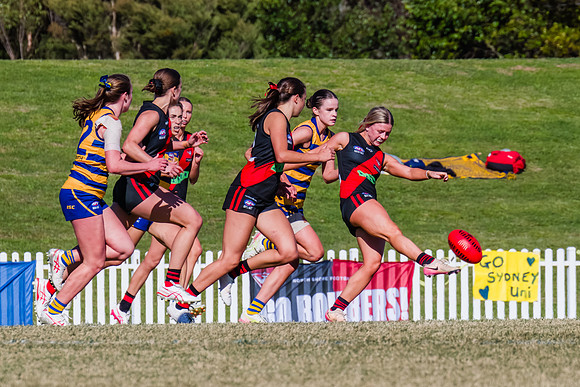 WPD Grand Final - North Shore v Sydney Uni - 20 September 2025