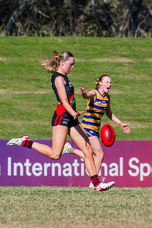 WPD Grand Final - North Shore v Sydney Uni - 20 September 2025