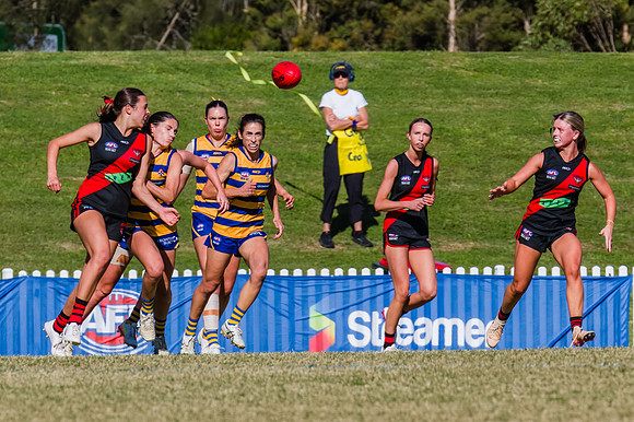 WPD Grand Final - North Shore v Sydney Uni - 20 September 2025