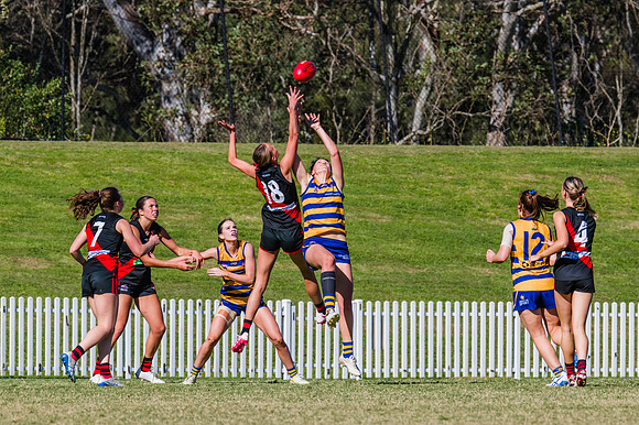WPD Grand Final - North Shore v Sydney Uni - 20 September 2025