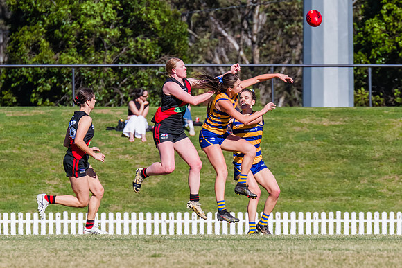 WPD Grand Final - North Shore v Sydney Uni - 20 September 2025