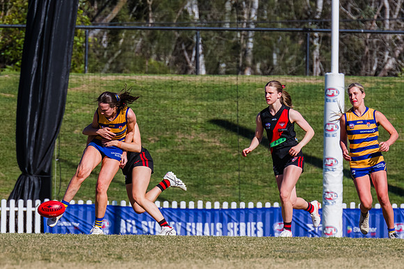 WPD Grand Final - North Shore v Sydney Uni - 20 September 2025