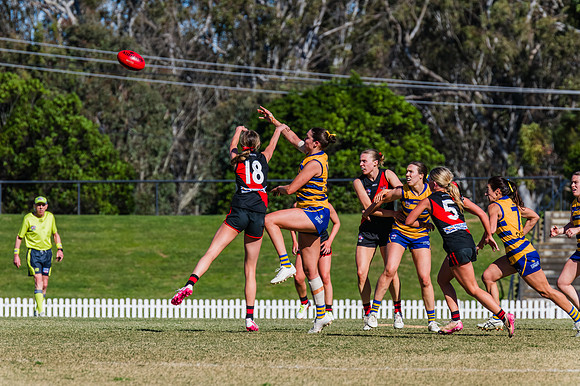 WPD Grand Final - North Shore v Sydney Uni - 20 September 2025