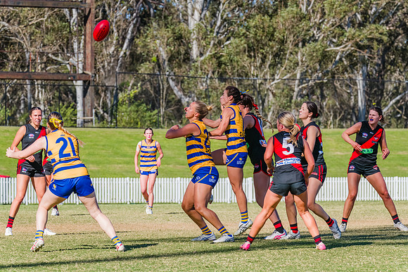 WPD Grand Final - North Shore v Sydney Uni - 20 September 2025