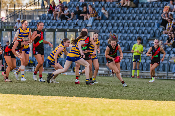 WPD Grand Final - North Shore v Sydney Uni - 20 September 2025