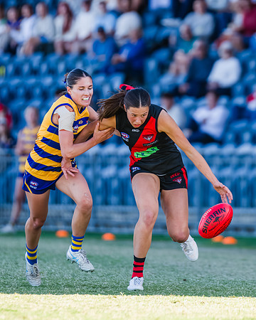 WPD Grand Final - North Shore v Sydney Uni - 20 September 2025