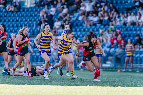 WPD Grand Final - North Shore v Sydney Uni - 20 September 2025
