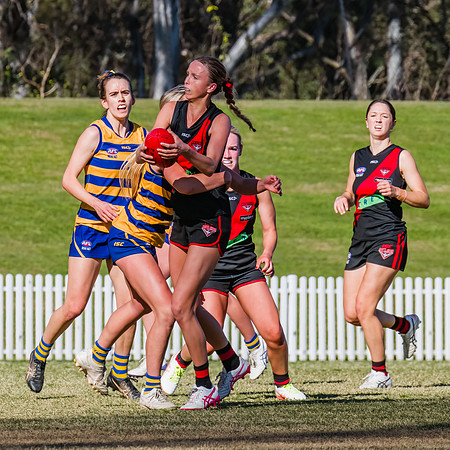 WPD Grand Final - North Shore v Sydney Uni - 20 September 2025