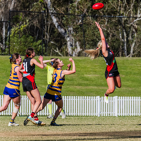 WPD Grand Final - North Shore v Sydney Uni - 20 September 2025