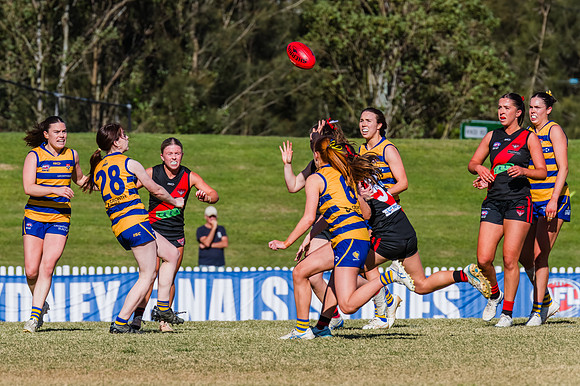 WPD Grand Final - North Shore v Sydney Uni - 20 September 2025