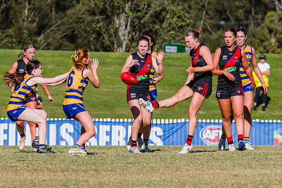 WPD Grand Final - North Shore v Sydney Uni - 20 September 2025