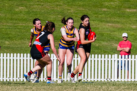 WPD Grand Final - North Shore v Sydney Uni - 20 September 2025