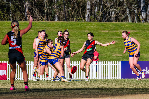 WPD Grand Final - North Shore v Sydney Uni - 20 September 2025