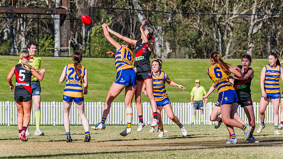 WPD Grand Final - North Shore v Sydney Uni - 20 September 2025