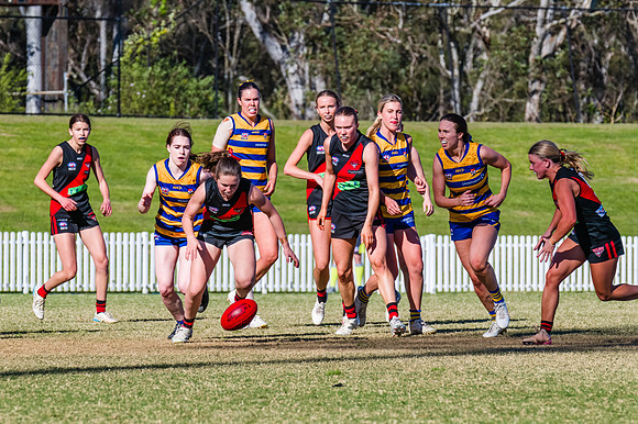 WPD Grand Final - North Shore v Sydney Uni - 20 September 2025