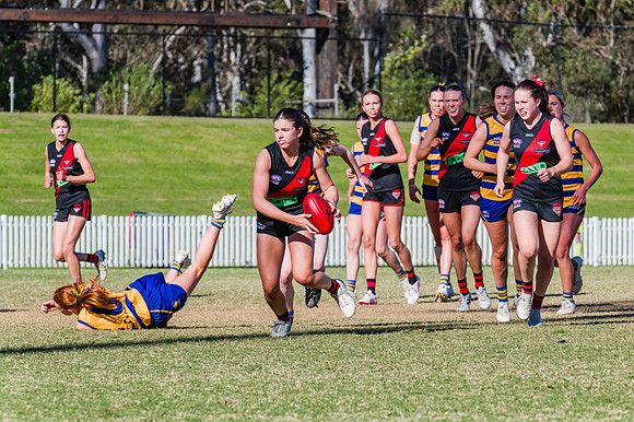 WPD Grand Final - North Shore v Sydney Uni - 20 September 2025