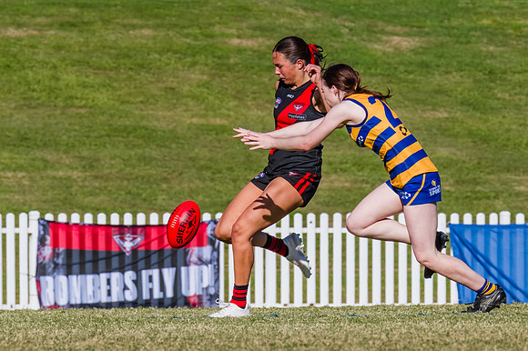 WPD Grand Final - North Shore v Sydney Uni - 20 September 2025