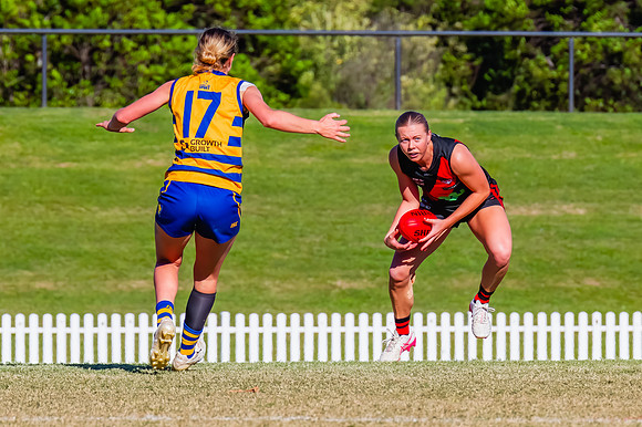 WPD Grand Final - North Shore v Sydney Uni - 20 September 2025