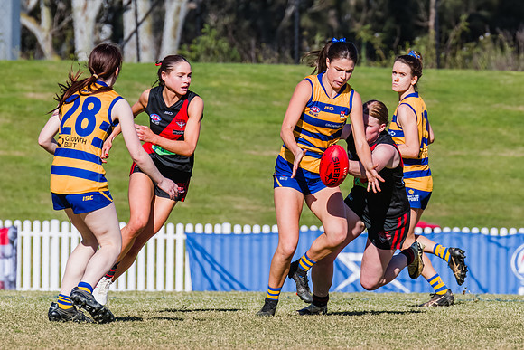 WPD Grand Final - North Shore v Sydney Uni - 20 September 2025