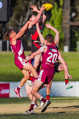 MPD Grand Final - North Shore v Manly Warringah - 20 September 2