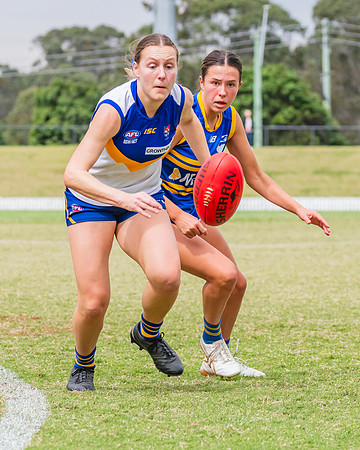 WPD Semi Final - Parramatta v Sydney Uni - 8 September 2024
