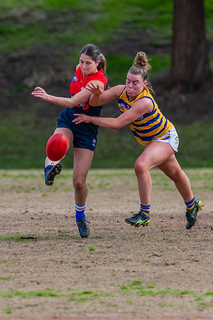 Rd 14 WPD - Pennant Hills v Sydney Uni - 16 July 2022