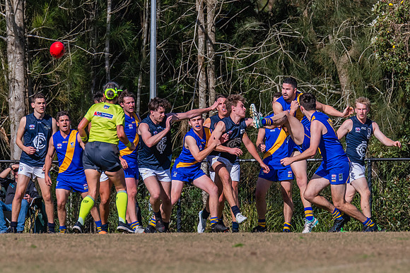 Black Diamond Plate Men's Nelson Bay v Newcastle City - 17 Septe