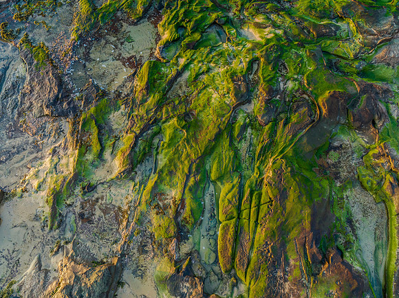 Sunrise over the mossy green rock platform