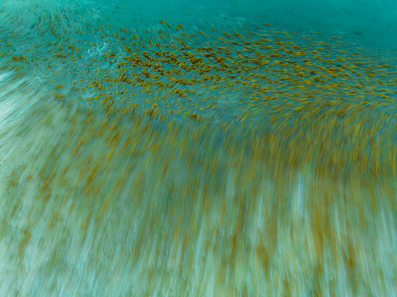 Top down long exposure of the sea and seaweed at the beach