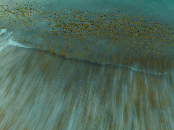 Top down long exposure of the sea and seaweed at the beach