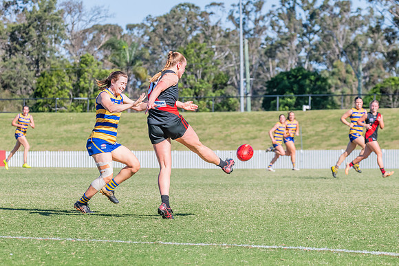 WPD Elimination Final - North Shore v Sydney Uni - 1 September 2
