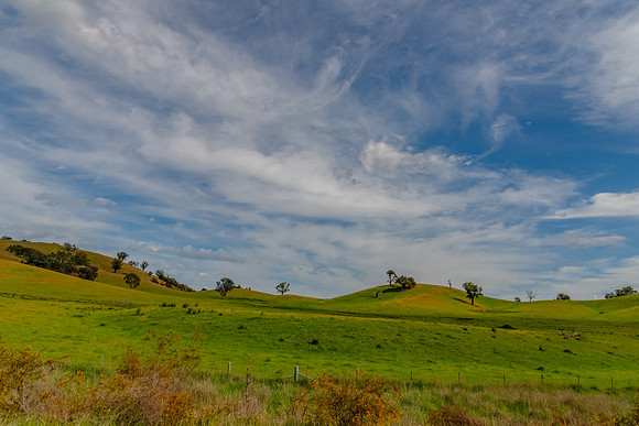 Riverina Countryside in Spring – Lush Fields Under Clouded Ski