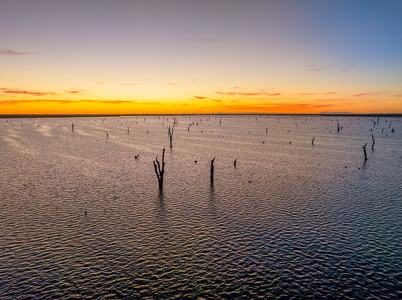 Sunrise over Lake Mulwala and the dead River Gum trees
