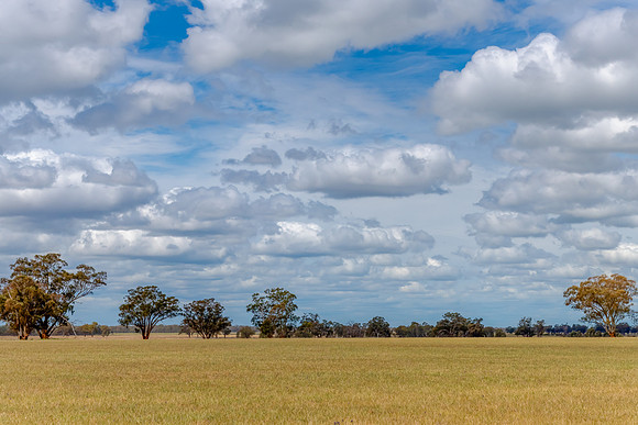 Clouds over the golden pastures in the Riverina countryside