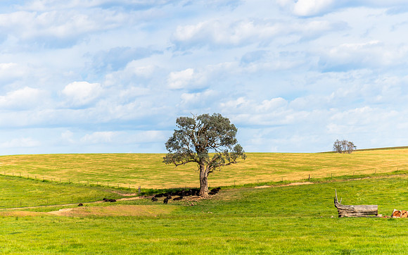 Riverina Countryside in Spring Under Clouded Skies