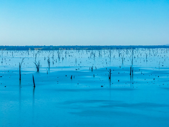 Clear Skies over Lake Mulwala and the dead River Gum trees