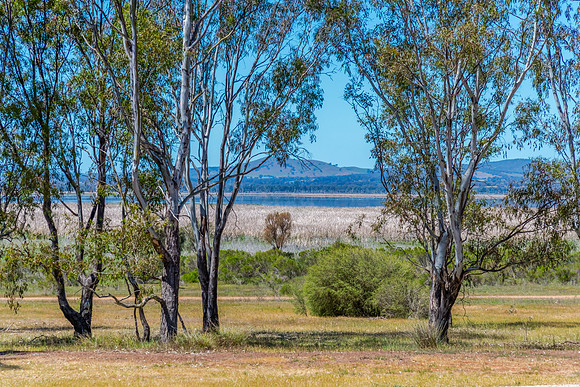 Winton Wetlands Reserve