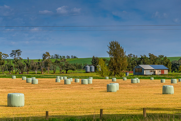 Riverina Countryside in Spring – Lush Fields Under Clouded Ski