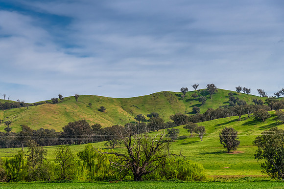 Hills, Gum Trees and Green Fields Under Clouded Skies