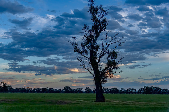 Sunrise and clouds in the Riverina Countryside