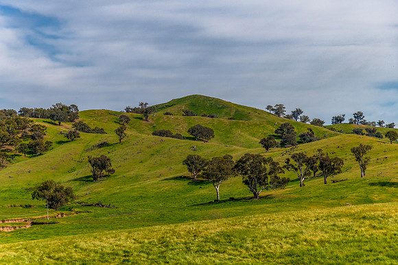 Riverina Countryside in Spring – Rolling Hills Under Clouded S