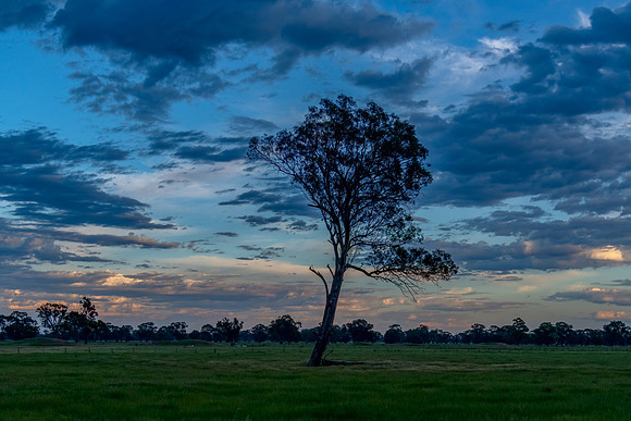Sunrise and clouds in the Riverina Countryside