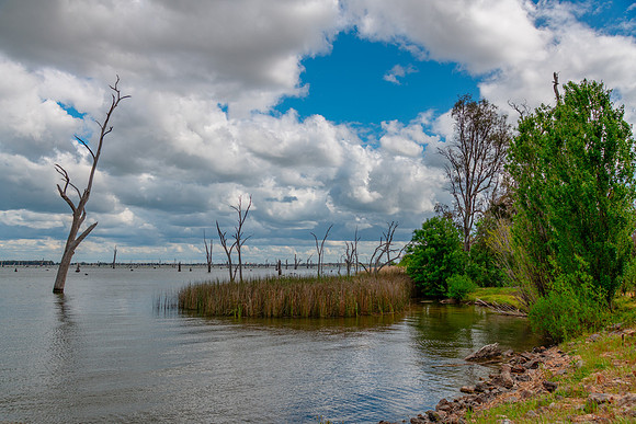 Cloudy Skies over Lake Mulwala and the dead River Gum trees