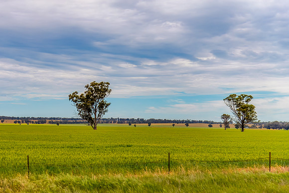 Clouds over the green pastures in the Riverina countryside