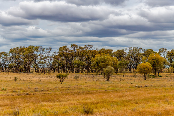 Clouds over the Riverina countryside