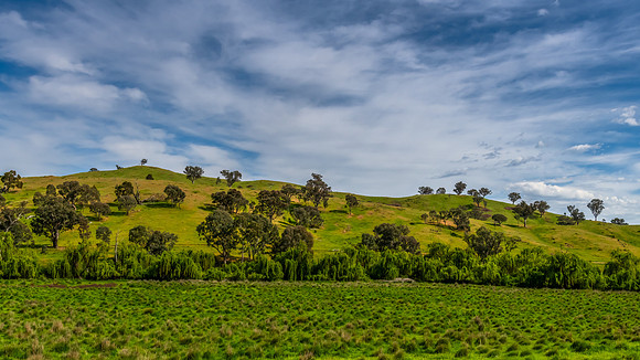 Hills, Gum Trees and Green Fields Under Clouded Skies