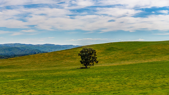 Riverina Countryside in Spring – Lush Fields Under Clouded Ski