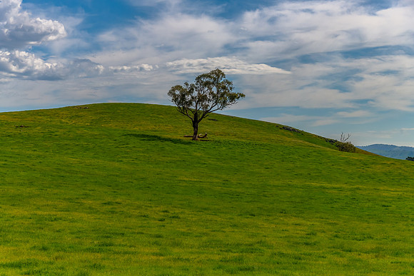 Riverina Countryside in Spring – A Green Hill Under Clouded Sk